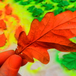 Leaf experiment